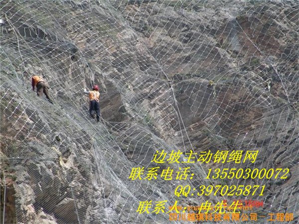 重庆gps2主动防护网
