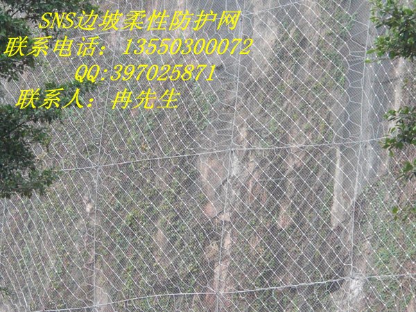 广西GPS2主动防护网