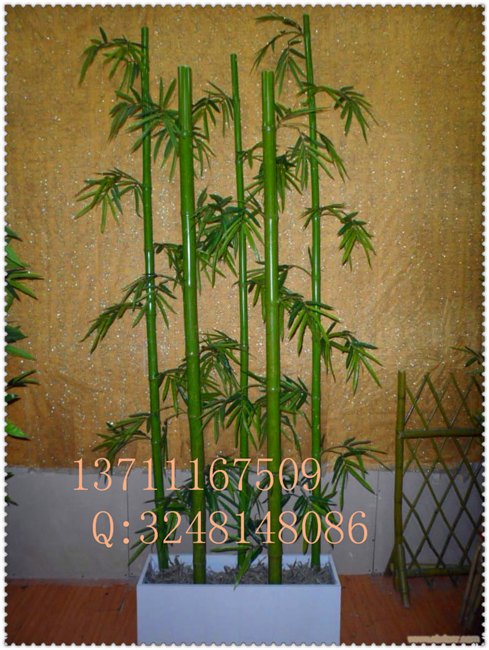 仿真真杆竹子有尾竹低价出售天然材质庆缘专业定制
