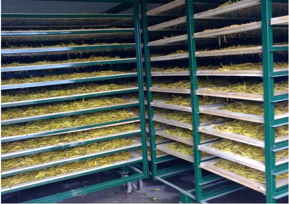 南宁蔬菜烘干机品牌|抢手的广西蔬菜烘干机罗卡诺节