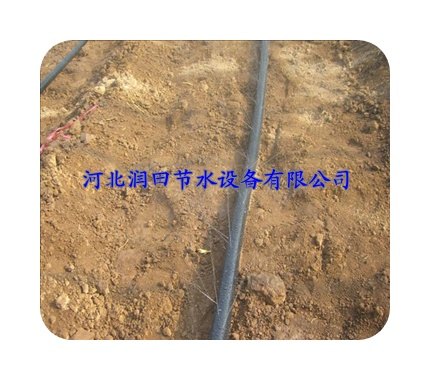 河北晋州鸭梨灌溉节水微喷带|价格实惠