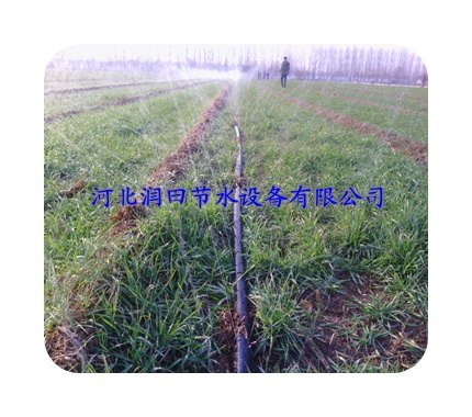 河北昌黎葡萄灌溉节水微喷带