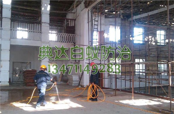 横县白蚁防治——可靠的白蚁防治工程上哪找