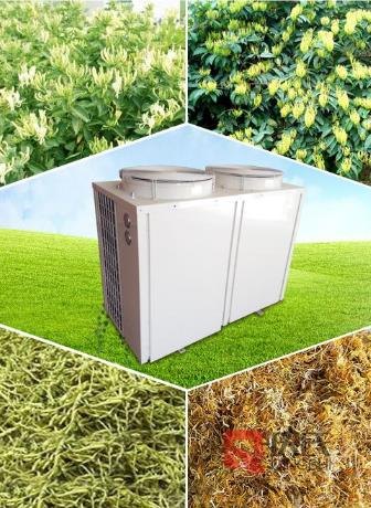 专业的金银花泵烘干机