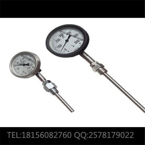 WSSXE-401双金属温度计0-250℃L=550