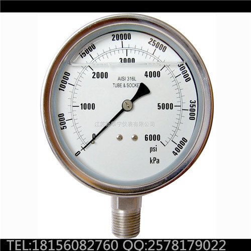 WSS-502双金属温度计0-350℃L=200