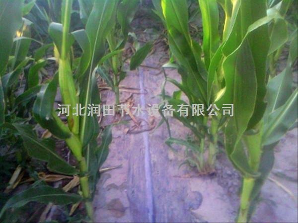河南侧翼迷宫式节水滴灌带|优惠促销