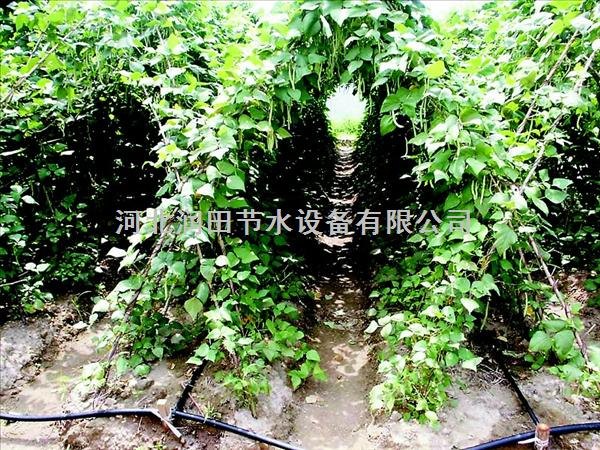 河南中草药滴灌节水滴灌带|首选