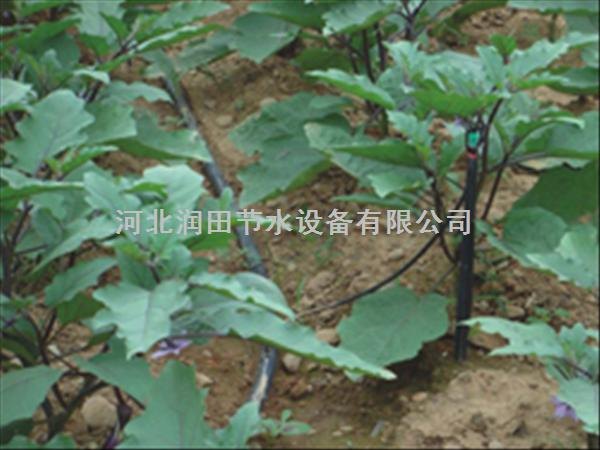 河南平顶山果树滴灌节水滴灌带|优惠促销