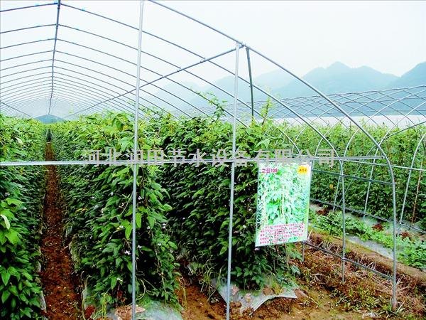 河南开封果树滴灌节水滴灌带|质量保证