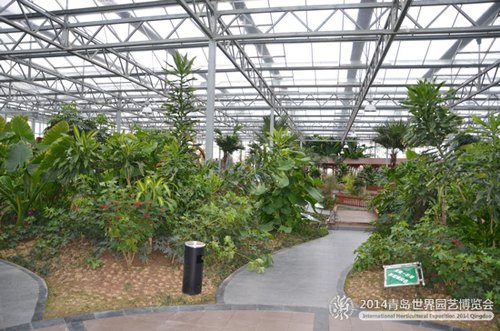 育苗大棚建造价格-育苗温室大棚设计-育苗温室工程
