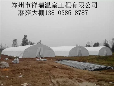 钢结构大棚搭建技术食用菌大棚搭建方法