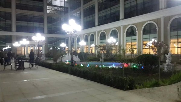 河北帝豪灯具公司厂家直销景观灯怎么样 景观灯定制