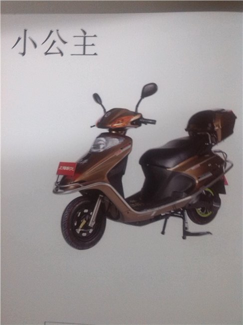 厦门哪有卖质量好的电动车，女士电动车代理商