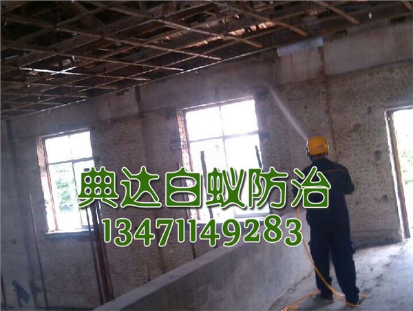 南宁旧房改造白蚁防治多少钱 全市范围内规模最大的