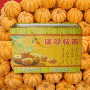 昌乐迷你桔瓜 供应迷你桔瓜 迷你桔瓜哪里最好