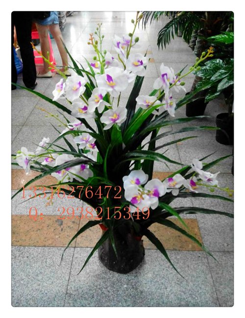 仿真兰花 高端大气上档次 清新自然 假兰花