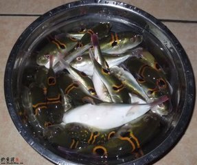 【垂钓基地】合肥钓鱼哪家好★合肥钓鱼价格☆合肥钓