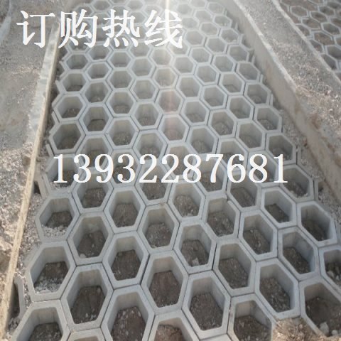高速铁路植草护坡塑料模具 市场报价