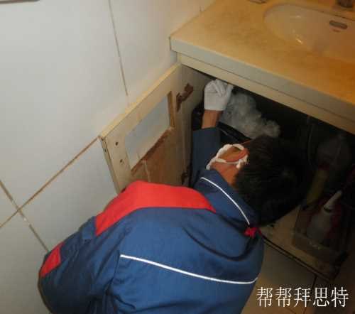 工厂杀虫公司_超市杀虫哪家好