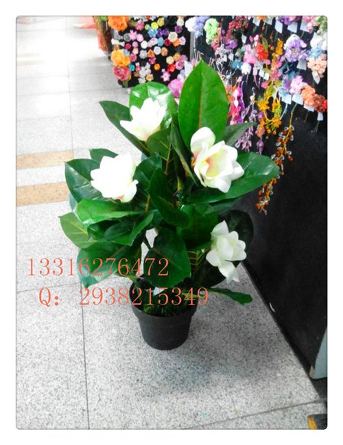 供应仿真兰花 影楼布置 季末优惠 户外兰花