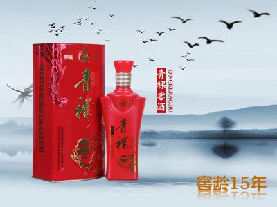 平凉最好的青稞酒，报价合理的青稞窖酒哪里有卖