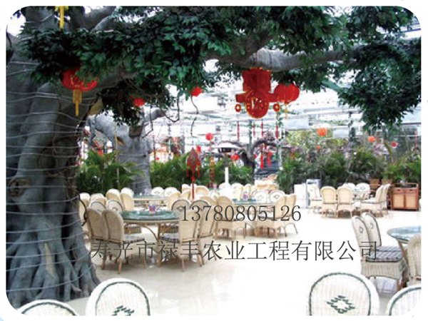 寿光禄丰农业工程_受欢迎的生态餐厅——质量好的冬