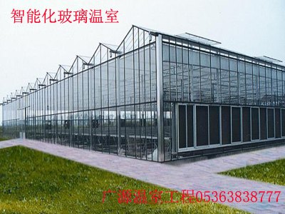青州连栋型玻璃温室|专业的玻璃温室供应商推荐