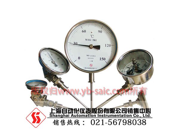 价格合理的双金属温度计：独具特色的WSSP-48