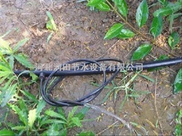 河北邢台果树小管出流系统性价比最高 