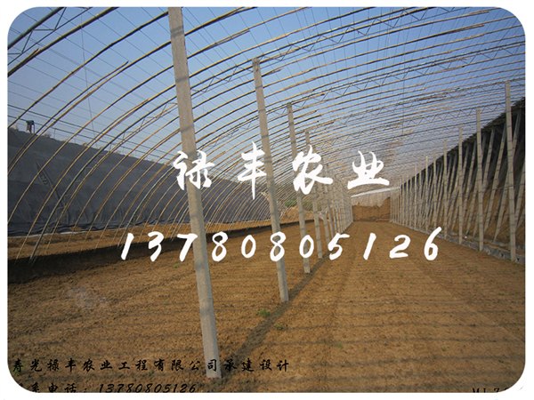 寿光禄丰农业工程供应实惠的冬暖式大棚：智能温室哪
