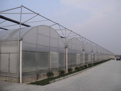 连栋温室承建 专业的膜温室提供商，当属广源温室