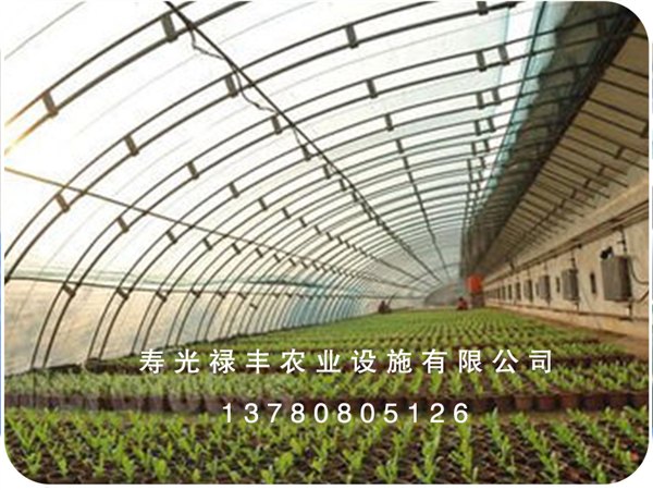 潍坊便宜的无立柱冬暖式温室哪里有供应_无立柱冬暖