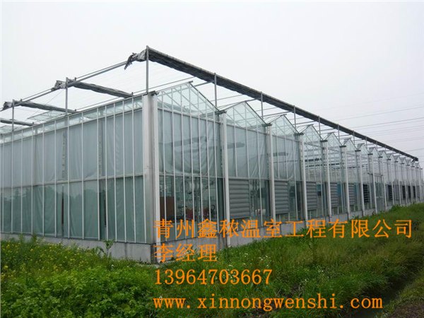 推荐山东最好的【智能连栋温室建造商】、智能连栋温