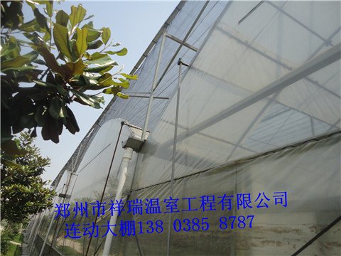 供应廊坊玻璃温室建设 玻璃温室骨架设计安装