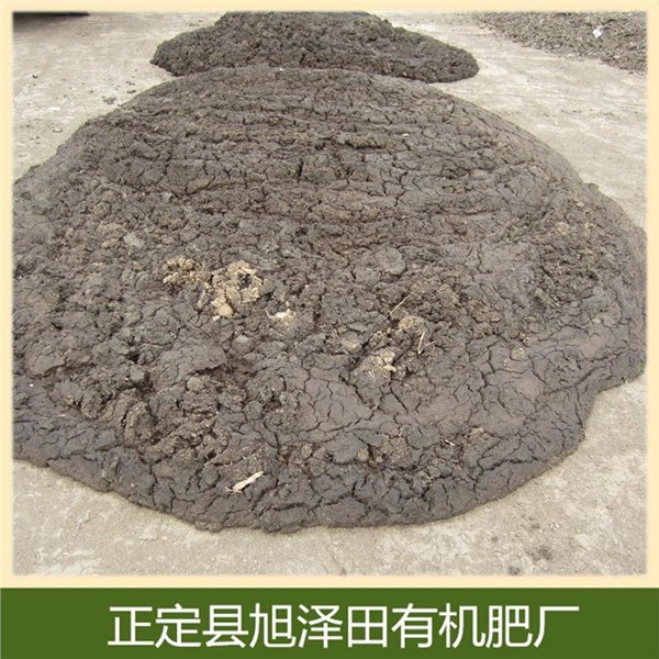 石家庄旭泽田肥业厂家批发 干鸡粪 家禽鸡粪 生物