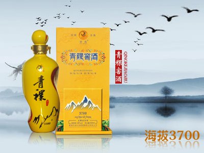 平凉青稞酒哪种好|在哪有超值的青稞窖酒供应
