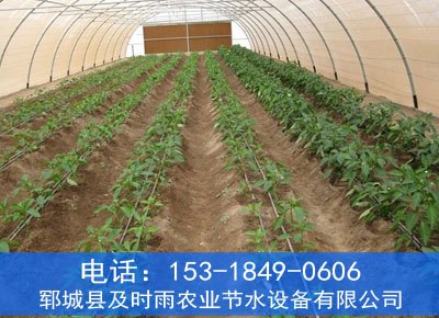 提供免费大棚滴灌设计方案—郓城及时雨节水