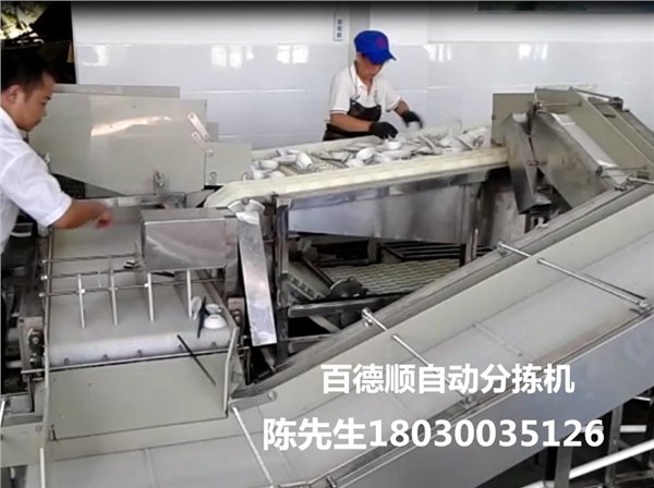 自动分拣洗碗机代理加盟——最超值的除渣机百德顺机