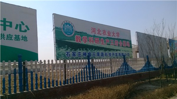 无害果蔬供应商——在哪有最好的绿色果蔬供应