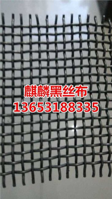 斜纹黑丝布价格-人字形黑丝布网片