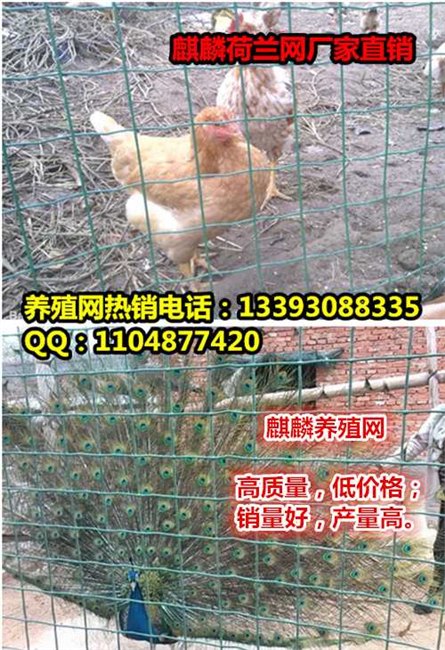 绿色养殖网价格 养殖网批发