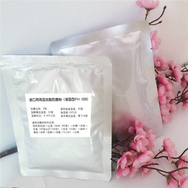济南哪里有供应便宜的进口酸奶发酵剂 山东进口奶吧