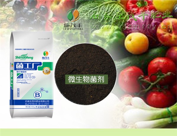 廊坊微生物菌剂|想买优质的微生物菌剂，就到茂丰肥