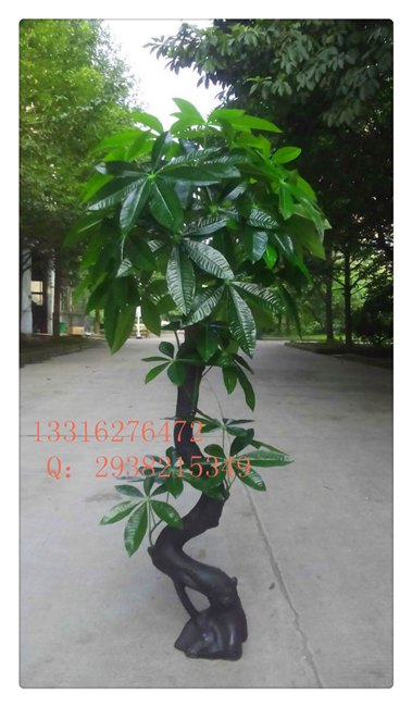 仿真招财树 高端大气 时尚美观 户外招财树
