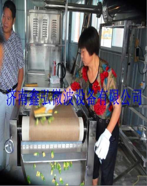 山东微波干燥设备批发
