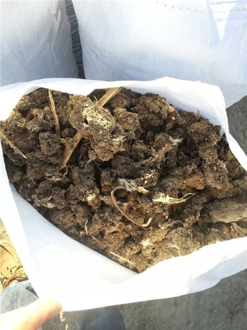 鸡粪价格如何，【供应】茂丰肥业具有品牌的鸡粪块