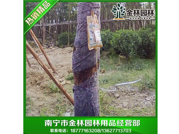 包树无纺布专业定制：报价合理的包树无纺布南宁哪里