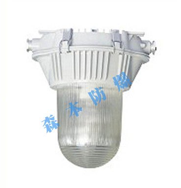 供应NFC9180防眩应急泛光灯
