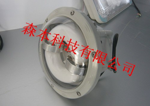 供应NFC9176长寿顶灯，圆形无厂房灯